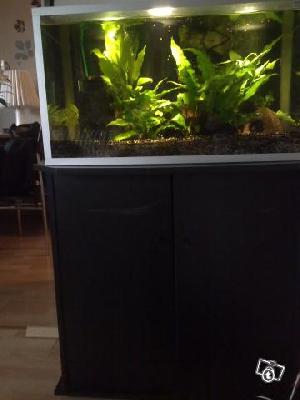 uudenveroinen alumiinikeh.akvaario mustalla alakaapilla. Sisältyy kalat, kasvit, hiekka, ruoat, valaisin, 2 vedenpuhdistinta, lapot...